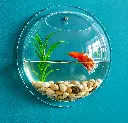 Wall-Mounted Bubble Aquarium.webp
