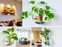 Stylish Wall-Mounted Fishbowl Planters.webp