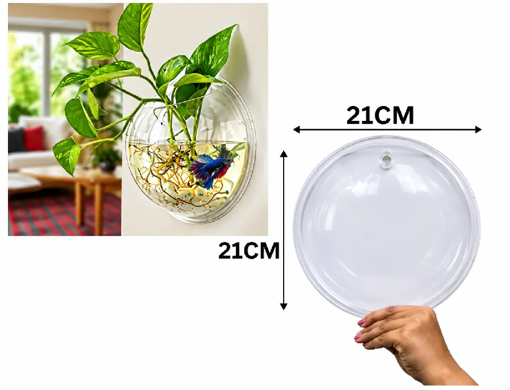 Wall-Mounted Aquarium Planter Dimensions.webp