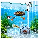 Transparent Aquarium Feeder with Colourful Fish.webp