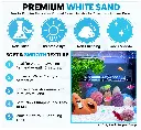 Premium White Sand Aquarium Decor.webp